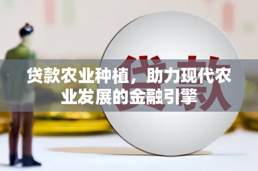 黄陂贷款农业种植，助力现代农业发展的金融引擎