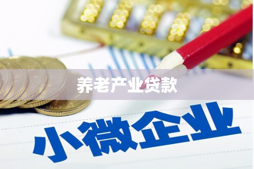 黄陂养老产业贷款
