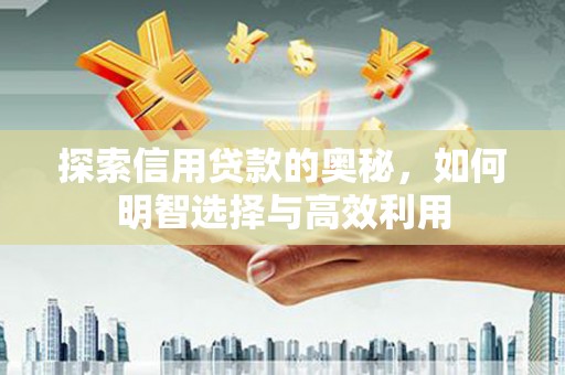 黄陂探索信用贷款的奥秘，如何明智选择与高效利用