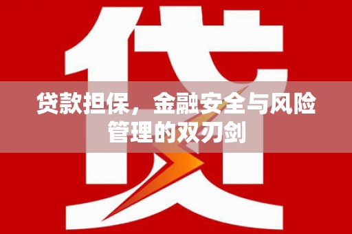 黄陂贷款担保，金融安全与风险管理的双刃剑