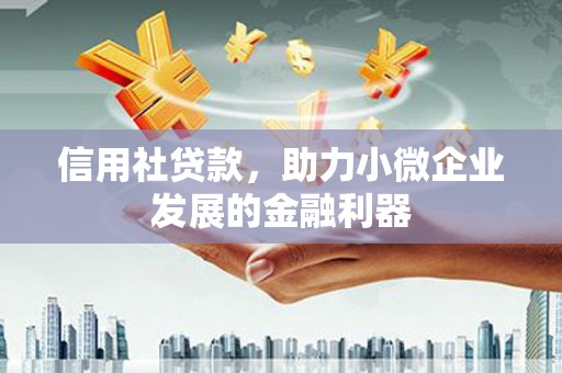 黄陂信用社贷款，助力小微企业发展的金融利器
