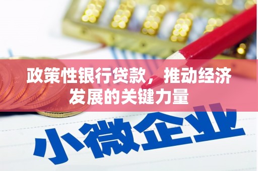 黄陂政策性银行贷款，推动经济发展的关键力量