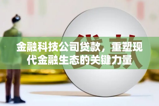 黄陂金融科技公司贷款，重塑现代金融生态的关键力量
