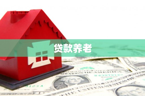 黄陂贷款养老