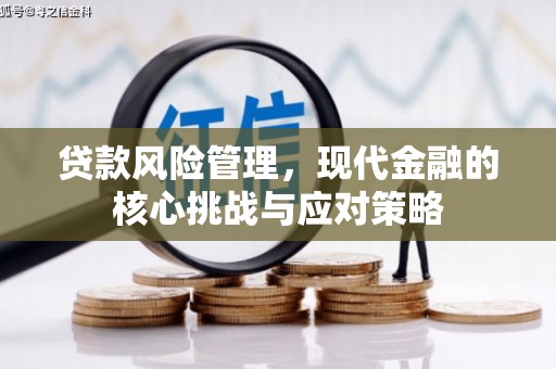 黄陂贷款风险管理，现代金融的核心挑战与应对策略