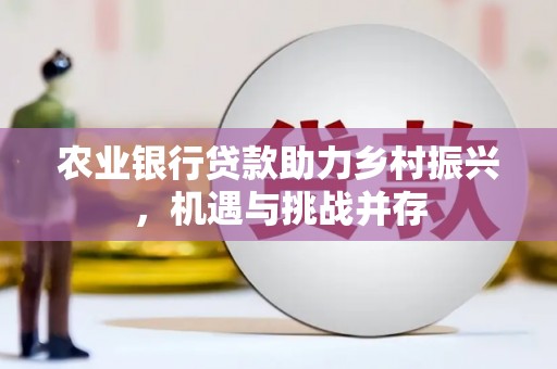 黄陂农业银行贷款助力乡村振兴，机遇与挑战并存