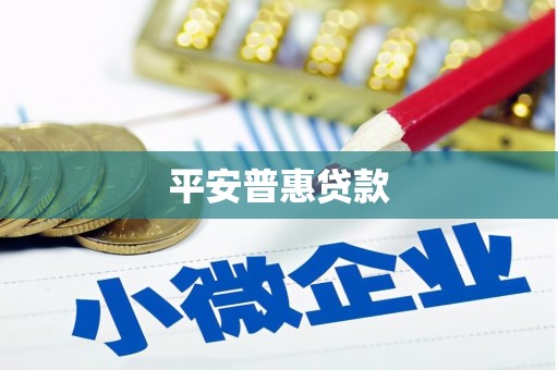 黄陂平安普惠贷款