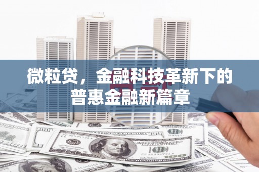 黄陂微粒贷，金融科技革新下的普惠金融新篇章