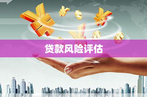 黄陂贷款风险评估