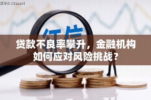 黄陂贷款不良率攀升，金融机构如何应对风险挑战？