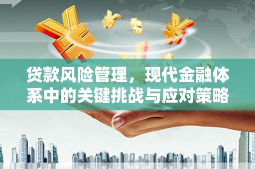 黄陂贷款风险管理，现代金融体系中的关键挑战与应对策略
