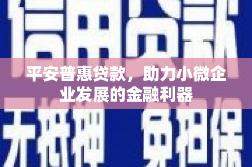 黄陂平安普惠贷款，助力小微企业发展的金融利器