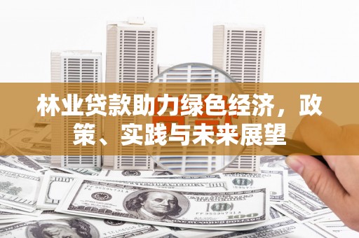 黄陂林业贷款助力绿色经济，政策、实践与未来展望