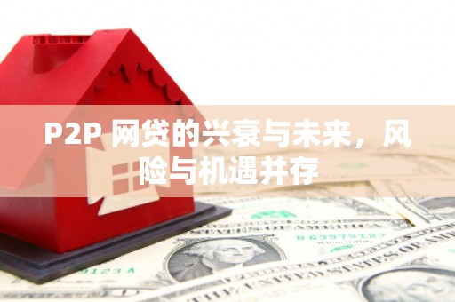 黄陂P2P 网贷的兴衰与未来，风险与机遇并存