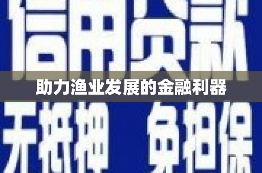 黄陂助力渔业发展的金融利器