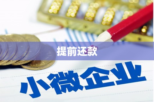 黄陂提前还款