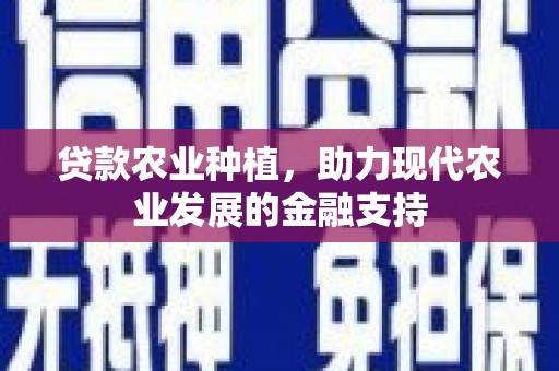 黄陂贷款农业种植，助力现代农业发展的金融支持